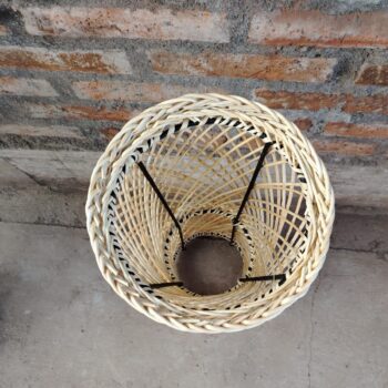 Alternative view of Paragüero Emilio- Natural